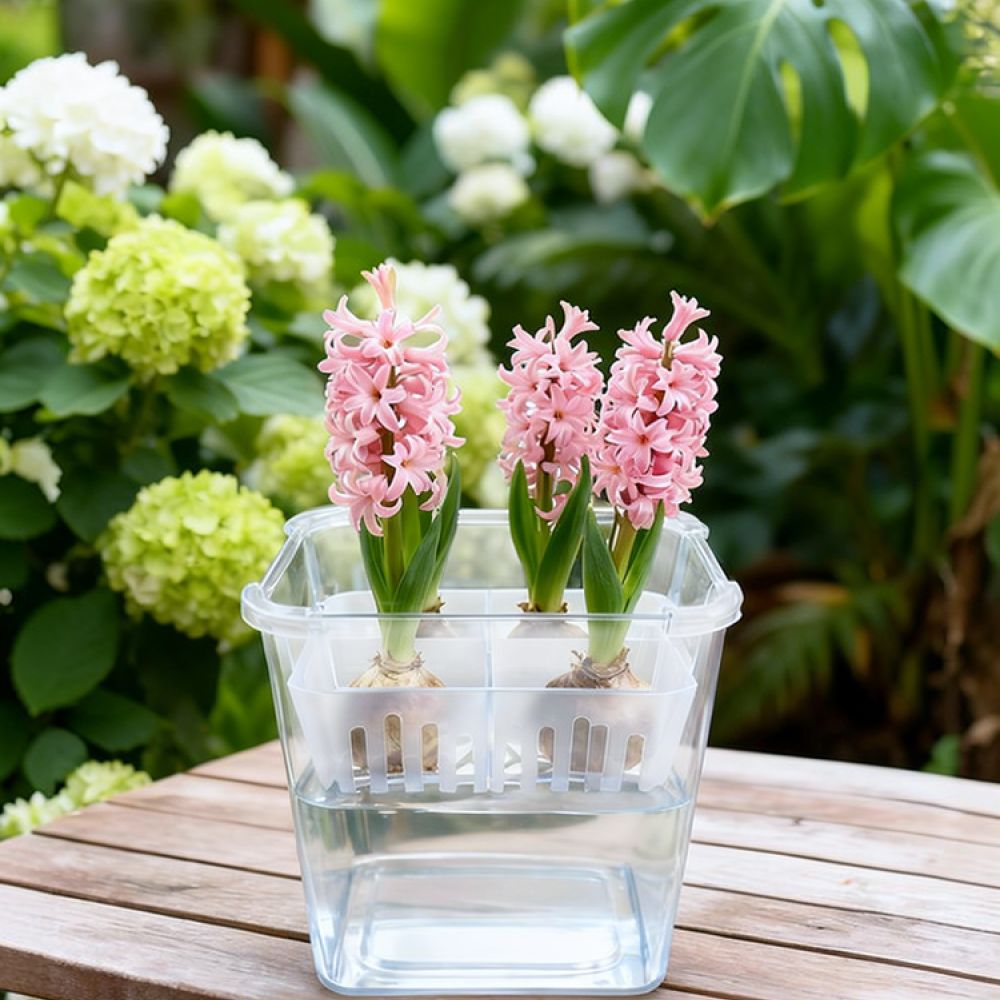 Hydroponische vaas voor tulpen - Vase Decor recensie en prijs